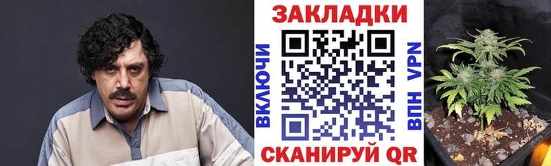 Магазины продажи наркотиков Трубчевск МЕГА ONION  МЕФ  Кокаин 