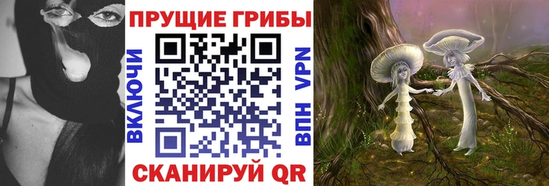 где можно купить наркотик  Трубчевск  Галлюциногенные грибы GOLDEN TEACHER 
